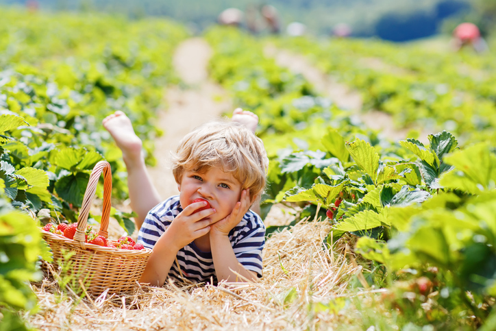 Enfant qui mange sainement