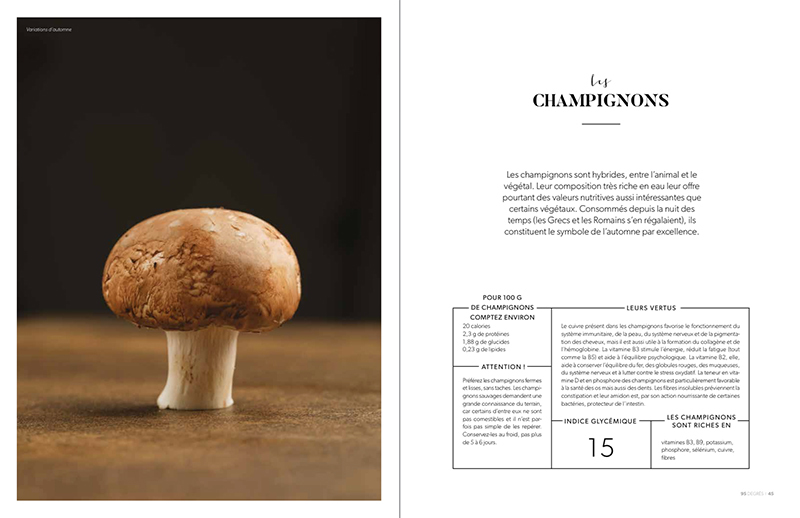 champignons valeurs nutritionnelles
