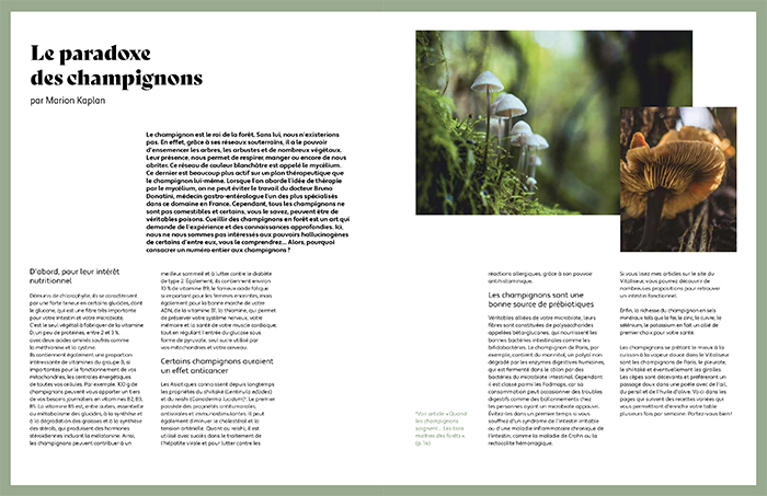 champignons